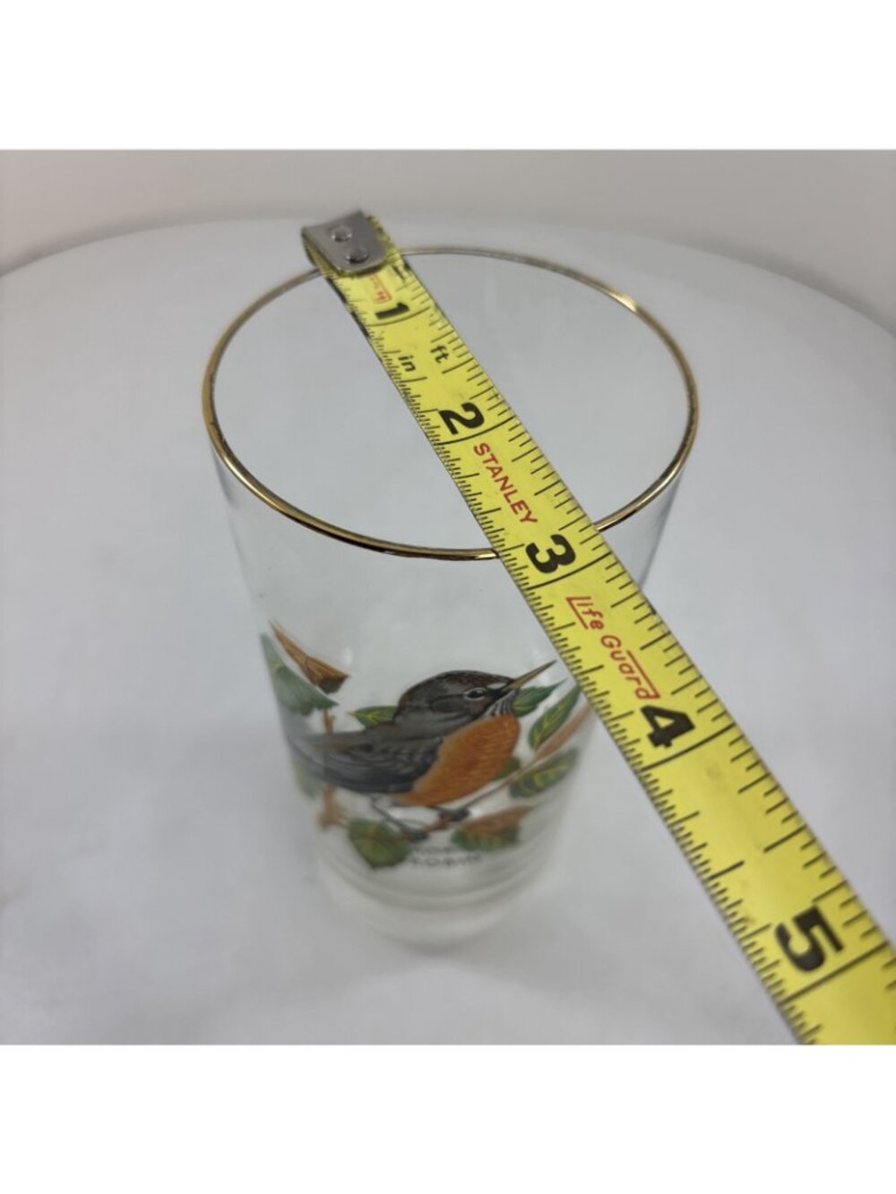 “Robin” Vintage 12oz Flat Tumbler By West Virginia Glass Specialty - Picture 5 of 5